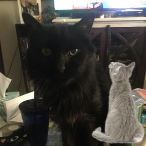 Meet your Posher, Shauna